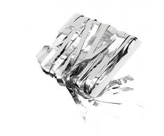 Novelty-PG001B Bristol Novelty PG001B Rideau à Franges, Couleur Argent, Silver, taille unique