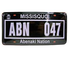 Dioramax- Miniature Voiture de Collection, 64/43, Vert/Blanc