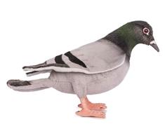 Hansa - Peluche Pigeon Voyageur 20cmH