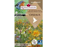 Royalfleur PFRF08668 Graines de Fleurs Utiles pour Attirer les Oiseaux Vivace25 m²