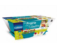 Caillard PFCW16678 Une Prairie à ma Fenêtre Jardinière 40 x 21 x 17 cm