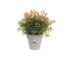 Elho Loft Urban Rond Roues 60 - Pot De Fleurs - Gris Chaud - Extérieur - Ø 59 x H 53.2 cm