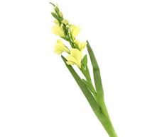 Floral Elegance F075GL - Glaïeul artificiel vert de 118 cm