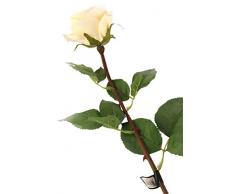 Floral Elegance Artificiel 72 cm Tige Unique Entièrement Ouvert Jaune pâle Roses X 6 – Artificiel de Luxe Plage de Fleur en Soie