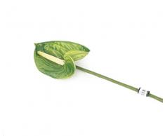 Floral Elegance Fleur Artificielle Half a Dozen Green