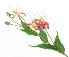 Floral Elegance - Fleur Artificielle Dozen Rose