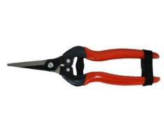 WelKut HC5308 Sécateur Manuel