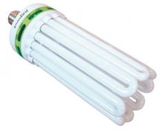 EnviroGro Ampoule Blanc Froid 150 W