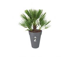 Elho 2054665 Loft Urban Pot de Fleur Ronde Élevé Anthracite 42 x 42 x 56 cm