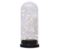 Star Décoration de Jardin, LED Vase en Verre Dôme en Verre, Argent, 11 x 11 x 26 cm, 068–96