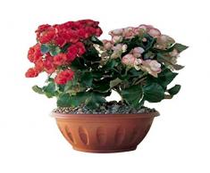 Bama Vase en Forme de Bol avec Soucoupe en résine Couleur Terre Cuite Ø 60 cm