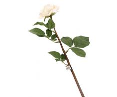 Floral Elegance Artificiel 92 cm Tige Unique Ouverte Ivoire et Rose Roses avec Pointe X 12 – Artificiel de Plage de Fleur en Soie