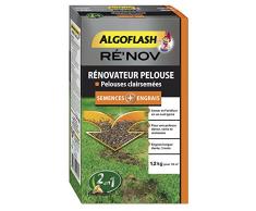 ALGOFLASH Mélange Engrais + Semences pour rénovation pelouse, 1.2 kg, RENOV50