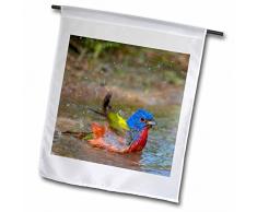 3dRose FL 11296 _ 1 Painted fanions Bain en Petit Bassin Jardin Drapeau, 12 par 45,7 cm