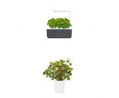 Click & Grow Smart Garden 3 jardinière dintérieur 30 x 10 x 28 cm Gris anthracite (contient 3 capsules de basilic) + 2 recharges fraise (x3)
