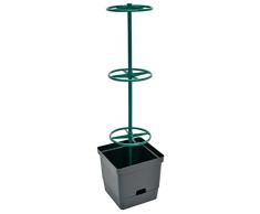 Verdemax 2240 Bac Riviera pour Plantes de Tomates