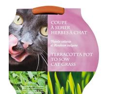 Radis et Capucine Graines dherbe a Chat avec coupelle de Culture, Multicolore, 5x5x5 cm