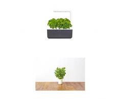Click & Grow Smart Garden 3 jardinière dintérieur 30 x 10 x 28 cm Gris anthracite (contient 3 capsules de basilic) + 2 recharges menthe (x3)
