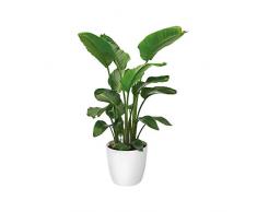 Elho Brussels Rond Roues 47 - Pot De Fleurs - Blanc - Intérieur - Ø 47 x H 43 cm