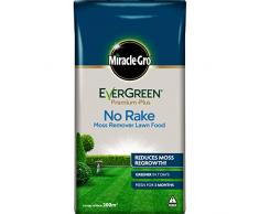 Miracle-Gro Evergreen Premium Plus sans râteau, Vert 200 m² Vert