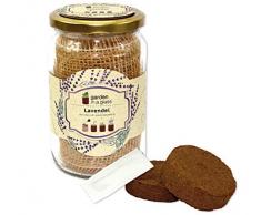 Feel Green Garden in A Kit de Culture en Verre Lavande avec graines Bio, Plantes dans Le Bocal & Papier Grain, idée Cadeau, sans Plastique, fabriqué en Autriche