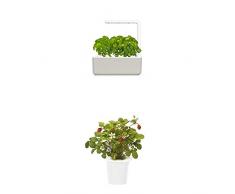 Click & Grow Smart Garden 3 jardinière dintérieur 30 x 10 x 28 cm beige (contient 3 capsules de basilic) + 2 recharges fraise (x3)