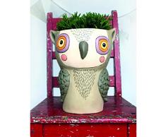 Allen D1734 Cache Pot Chouette, Multicolore, 20,3 x 15,2 x 10 cm