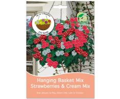 G Plants Grand Paquet de graines pour Pot de Fleurs à Suspendre Fraise/crème