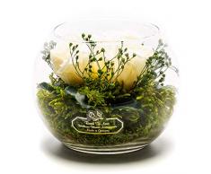 Rosen-Te-Amo Bouquet de Fleurs Durable dans Le Vase Décoration Florale fabriquée à la Main Medium Glass Bowl Blanc.