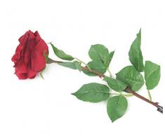 Floral Elegance Artificiel 72 cm Tige Unique Ouverte Rouge Profond Roses X 12 – Artificiel de Luxe Plage de Fleur en Soie