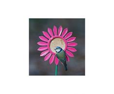 Jacobi Jayne Flutter Beurrier pour Parterre de Fleurs Jaune