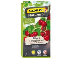 BARRIERE A INSECTES GREEN Pièges à phéromone contre la mouche de la Cerise, Sans insecticide, 3 pièges, BIOPICER3A