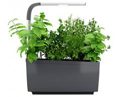 Tregren T6 Potager dintérieur Connecté 6 plantes, Kit prêt à pousser et Jardinière Autonome pour herbes aromatiques, petits légumes, fleurs - Cultivez avec votre application smartphone - Gris