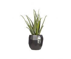 Elho Pure Edge Pot de Fleur, Anthracite, 40 cm