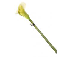 Floral Elegance F071WL - Arum artificiel crème de 94 cm