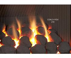 Coals 4 You Lot de 30 charbons de Rechange en céramique pour poêle à gaz Noir