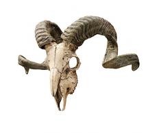 Design Toscano Crâne et Cornes de Bélier Corse Sculpture Murale Faux Taxidermie Animal, 45.75 cm, polyrésine, palette complète de couleur