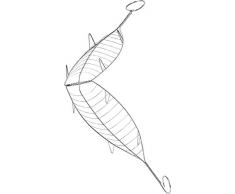 Sauvic Grande Grille de Barbecue en Acier