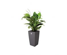 Elho Milano 20 - Pot De Fleurs - Anthracite - Intérieur - Ø 19.4 x H 36.3 cm