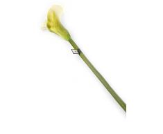 Floral Elegance Artificiel 94 cm Tige Unique Crème Motif lys Calla Artificiel X 12 – Gamme de Fleur de en Soie