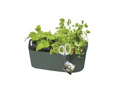 Elho Brussels Herbes Station - Pot De Fleurs - Leaf Green - Intérieur - Ø 29.8 x H 13.3 cm