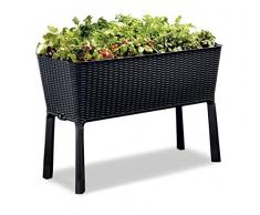 Keter Easy Growing Pot de Fleurs Anthracite