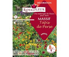 Royalfleur PFRE08689 Graines de Mélange de Fleurs mon Massif Tapis de Perse 8 m²