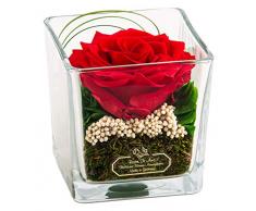 Rosen-te-amo GSF-RPXRE-001 Infinity Flower and Composition Lot de 10 Fleurs et compositions durables Rouge, Rouge – Premium., Würfel Vase