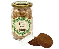 Feel Green Garden in A Kit de Culture en Verre, Menthe, Plantes Issues du Bocal et du Papier Gras, idée Cadeau, sans Plastique, fabriqué en Autriche