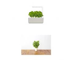 Click & Grow Smart Garden 3 jardinière dintérieur 30 x 10 x 28 cm Beige (contient 3 capsules de basilic) + 2 recharges menthe (x3)
