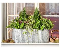 Dehner Pot de Fleurs avec Anse, env. 60 x 23 cm, Zinc argenté