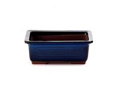 Crespi Bonsai V022/1 Pot pour Bonsai, Bleu, 20 x 14 x 6.3 cm