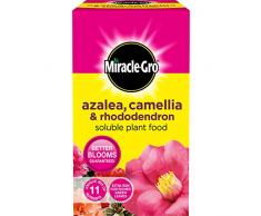 Scotts Miracle-Gro Engrais Soluble pour azalée, camélia et Rhododendron 1 kg A
