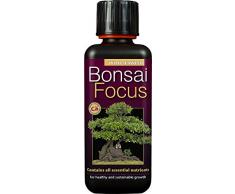 Engrais Liquide concentré Unique Bonsai Focus 300 ML